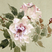 Shunkyo Yamamoto Gallery